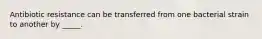 Antibiotic resistance can be transferred from one bacterial strain to another by _____.