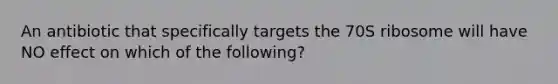 An antibiotic that specifically targets the 70S ribosome will have NO effect on which of the following?