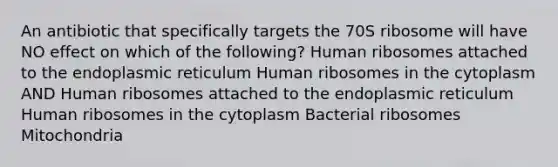 An antibiotic that specifically targets the 70S ribosome will have NO effect on which of the following? Human ribosomes attached to the endoplasmic reticulum Human ribosomes in the cytoplasm AND Human ribosomes attached to the endoplasmic reticulum Human ribosomes in the cytoplasm Bacterial ribosomes Mitochondria