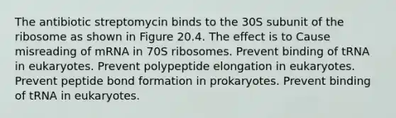 The antibiotic streptomycin binds to the 30S subunit of the ribosome as shown in Figure 20.4. The effect is to Cause misreading of mRNA in 70S ribosomes. Prevent binding of tRNA in eukaryotes. Prevent polypeptide elongation in eukaryotes. Prevent peptide bond formation in prokaryotes. Prevent binding of tRNA in eukaryotes.