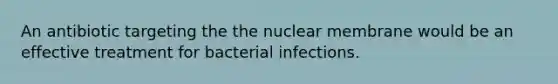 An antibiotic targeting the the nuclear membrane would be an effective treatment for bacterial infections.