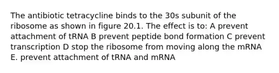 The antibiotic tetracycline binds to the 30s subunit of the ribosome as shown in figure 20.1. The effect is to: A prevent attachment of tRNA B prevent peptide bond formation C prevent transcription D stop the ribosome from moving along the mRNA E. prevent attachment of tRNA and mRNA