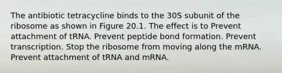 The antibiotic tetracycline binds to the 30S subunit of the ribosome as shown in Figure 20.1. The effect is to Prevent attachment of tRNA. Prevent peptide bond formation. Prevent transcription. Stop the ribosome from moving along the mRNA. Prevent attachment of tRNA and mRNA.