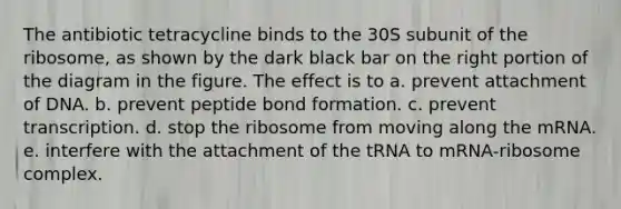 The antibiotic tetracycline binds to the 30S subunit of the ribosome, as shown by the dark black bar on the right portion of the diagram in the figure. The effect is to a. prevent attachment of DNA. b. prevent peptide bond formation. c. prevent transcription. d. stop the ribosome from moving along the mRNA. e. interfere with the attachment of the tRNA to mRNA-ribosome complex.