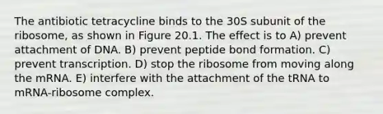 The antibiotic tetracycline binds to the 30S subunit of the ribosome, as shown in Figure 20.1. The effect is to A) prevent attachment of DNA. B) prevent peptide bond formation. C) prevent transcription. D) stop the ribosome from moving along the mRNA. E) interfere with the attachment of the tRNA to mRNA-ribosome complex.