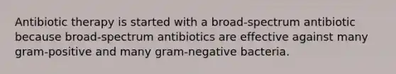 Antibiotic therapy is started with a broad-spectrum antibiotic because broad-spectrum antibiotics are effective against many gram-positive and many gram-negative bacteria.