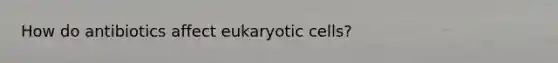 How do antibiotics affect eukaryotic cells?