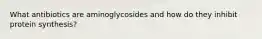 What antibiotics are aminoglycosides and how do they inhibit protein synthesis?