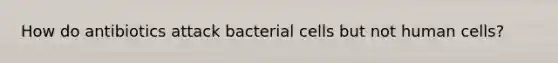 How do antibiotics attack bacterial cells but not human cells?