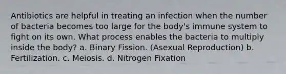 Antibiotics are helpful in treating an infection when the number of bacteria becomes too large for the body's immune system to fight on its own. What process enables the bacteria to multiply inside the body? a. Binary Fission. (Asexual Reproduction) b. Fertilization. c. Meiosis. d. Nitrogen Fixation