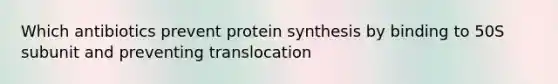 Which antibiotics prevent protein synthesis by binding to 50S subunit and preventing translocation