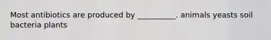 Most antibiotics are produced by __________. animals yeasts soil bacteria plants