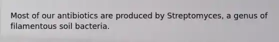 Most of our antibiotics are produced by Streptomyces, a genus of filamentous soil bacteria.