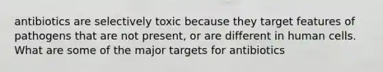 antibiotics are selectively toxic because they target features of pathogens that are not present, or are different in human cells. What are some of the major targets for antibiotics