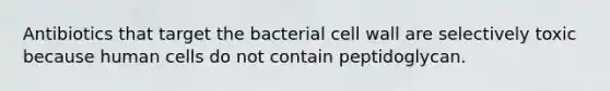 Antibiotics that target the bacterial cell wall are selectively toxic because human cells do not contain peptidoglycan.