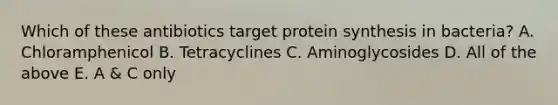 Which of these antibiotics target protein synthesis in bacteria? A. Chloramphenicol B. Tetracyclines C. Aminoglycosides D. All of the above E. A & C only