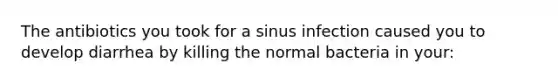 The antibiotics you took for a sinus infection caused you to develop diarrhea by killing the normal bacteria in your: