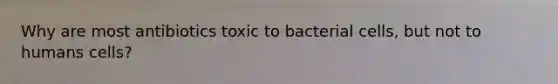 Why are most antibiotics toxic to bacterial cells, but not to humans cells?