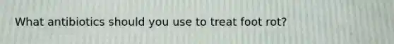 What antibiotics should you use to treat foot rot?