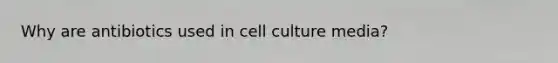Why are antibiotics used in cell culture media?