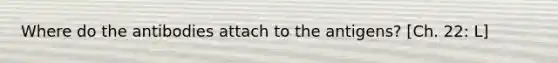 Where do the antibodies attach to the antigens? [Ch. 22: L]