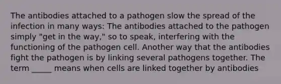 The antibodies attached to a pathogen slow the spread of the infection in many ways: The antibodies attached to the pathogen simply "get in the way," so to speak, interfering with the functioning of the pathogen cell. Another way that the antibodies fight the pathogen is by linking several pathogens together. The term _____ means when cells are linked together by antibodies