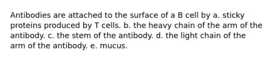 Antibodies are attached to the surface of a B cell by a. sticky proteins produced by T cells. b. the heavy chain of the arm of the antibody. c. the stem of the antibody. d. the light chain of the arm of the antibody. e. mucus.