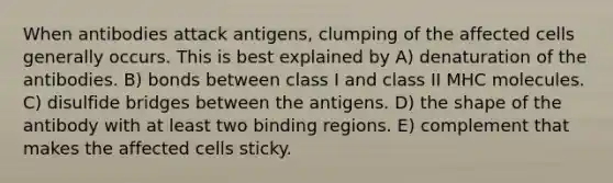 When antibodies attack antigens, clumping of the affected cells generally occurs. This is best explained by A) denaturation of the antibodies. B) bonds between class I and class II MHC molecules. C) disulfide bridges between the antigens. D) the shape of the antibody with at least two binding regions. E) complement that makes the affected cells sticky.