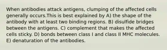 When antibodies attack antigens, clumping of the affected cells generally occurs.This is best explained by A) the shape of the antibody with at least two binding regions. B) disulfide bridges between the antigens. C) complement that makes the affected cells sticky. D) bonds between class I and class II MHC molecules. E) denaturation of the antibodies.