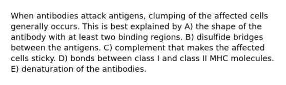 When antibodies attack antigens, clumping of the affected cells generally occurs. This is best explained by A) the shape of the antibody with at least two binding regions. B) disulfide bridges between the antigens. C) complement that makes the affected cells sticky. D) bonds between class I and class II MHC molecules. E) denaturation of the antibodies.