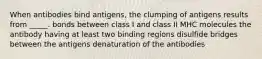 When antibodies bind antigens, the clumping of antigens results from _____. bonds between class I and class II MHC molecules the antibody having at least two binding regions disulfide bridges between the antigens denaturation of the antibodies