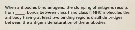 When antibodies bind antigens, the clumping of antigens results from _____. bonds between class I and class II MHC molecules the antibody having at least two binding regions disulfide bridges between the antigens denaturation of the antibodies