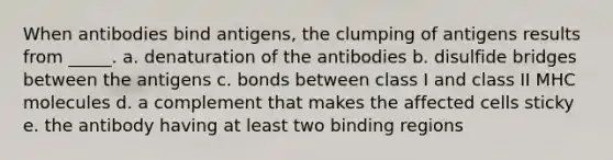 When antibodies bind antigens, the clumping of antigens results from _____. a. denaturation of the antibodies b. disulfide bridges between the antigens c. bonds between class I and class II MHC molecules d. a complement that makes the affected cells sticky e. the antibody having at least two binding regions