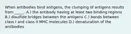 When antibodies bind antigens, the clumping of antigens results from _____. A.) the antibody having at least two binding regions B.) disulfide bridges between the antigens C.) bonds between class I and class II MHC molecules D.) denaturation of the antibodies