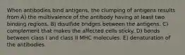 When antibodies bind antigens, the clumping of antigens results from A) the multivalence of the antibody having at least two binding regions. B) disulfide bridges between the antigens. C) complement that makes the affected cells sticky. D) bonds between class I and class II MHC molecules. E) denaturation of the antibodies.