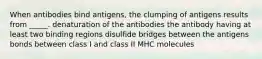 When antibodies bind antigens, the clumping of antigens results from _____. denaturation of the antibodies the antibody having at least two binding regions disulfide bridges between the antigens bonds between class I and class II MHC molecules