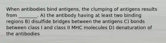 When antibodies bind antigens, the clumping of antigens results from ________. A) the antibody having at least two binding regions B) disulfide bridges between the antigens C) bonds between class I and class II MHC molecules D) denaturation of the antibodies