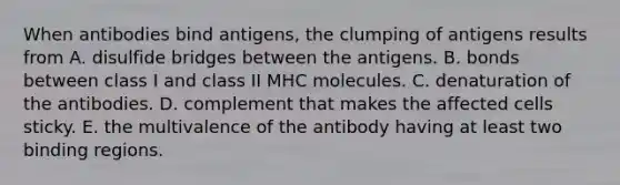 When antibodies bind antigens, the clumping of antigens results from A. disulfide bridges between the antigens. B. bonds between class I and class II MHC molecules. C. denaturation of the antibodies. D. complement that makes the affected cells sticky. E. the multivalence of the antibody having at least two binding regions.