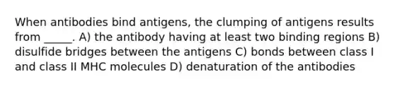 When antibodies bind antigens, the clumping of antigens results from _____. A) the antibody having at least two binding regions B) disulfide bridges between the antigens C) bonds between class I and class II MHC molecules D) denaturation of the antibodies