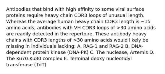 Antibodies that bind with high affinity to some viral surface proteins require heavy chain CDR3 loops of unusual length. Whereas the average human heavy chain CDR3 length is ~15 amino acids, antibodies with VH CDR3 loops of >30 amino acids are readily detected in the repertoire. These antibody heavy chains with CDR3 lengths of >30 amino acids would likely be missing in individuals lacking: A. RAG-1 and RAG-2 B. DNA-dependent protein kinase (DNA-PK) C. The nuclease, Artemis D. The Ku70:Ku80 complex E. Terminal deoxy nucleotidyl transferase (TdT)