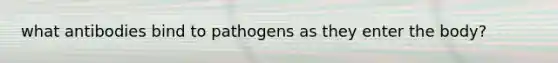 what antibodies bind to pathogens as they enter the body?