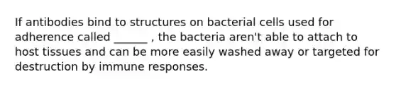 If antibodies bind to structures on bacterial cells used for adherence called ______ , the bacteria aren't able to attach to host tissues and can be more easily washed away or targeted for destruction by immune responses.