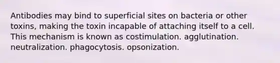 Antibodies may bind to superficial sites on bacteria or other toxins, making the toxin incapable of attaching itself to a cell. This mechanism is known as costimulation. agglutination. neutralization. phagocytosis. opsonization.