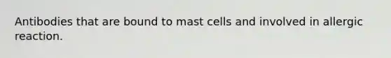 Antibodies that are bound to mast cells and involved in allergic reaction.