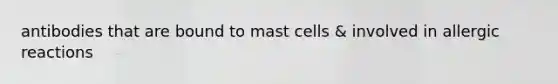 antibodies that are bound to mast cells & involved in allergic reactions