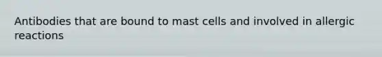 Antibodies that are bound to mast cells and involved in allergic reactions