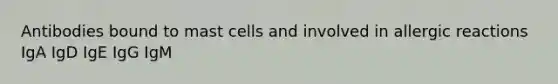 Antibodies bound to mast cells and involved in allergic reactions IgA IgD IgE IgG IgM