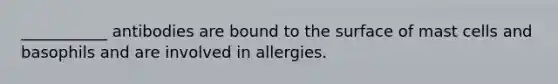 ___________ antibodies are bound to the surface of mast cells and basophils and are involved in allergies.