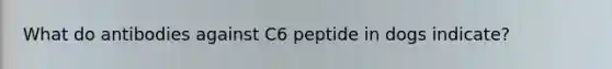 What do antibodies against C6 peptide in dogs indicate?