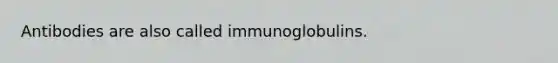 Antibodies are also called immunoglobulins.